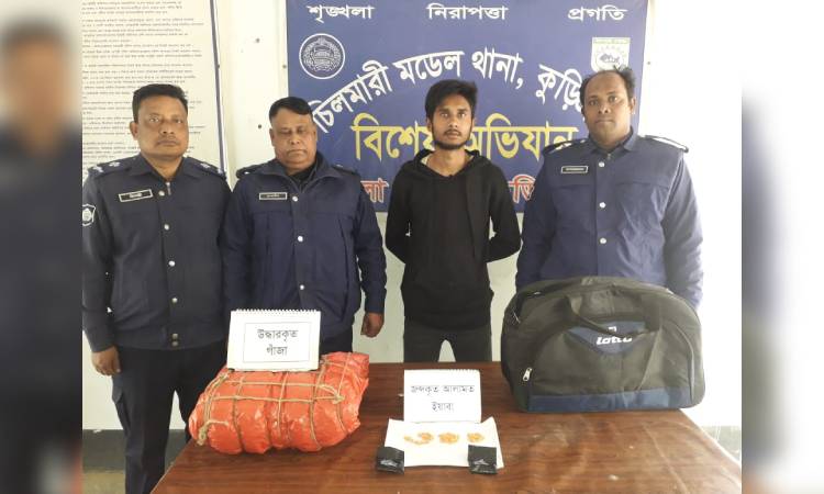 চিলমারীতে ইয়াবা ও গাঁজাসহ মাদক কারবারি গ্রেপ্তার