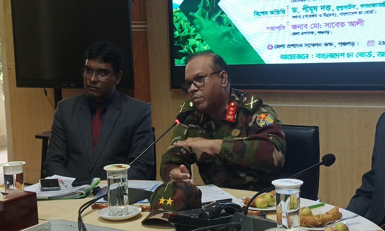 'চাষিদের কাছে সরাসরি চা পাতা কিনবে  চা বোর্ড'