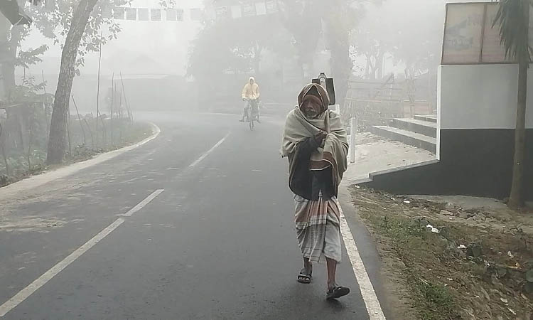 শীতে রাস্তায় মানুষ নাই, কোনো রকম বাঁচি আছি