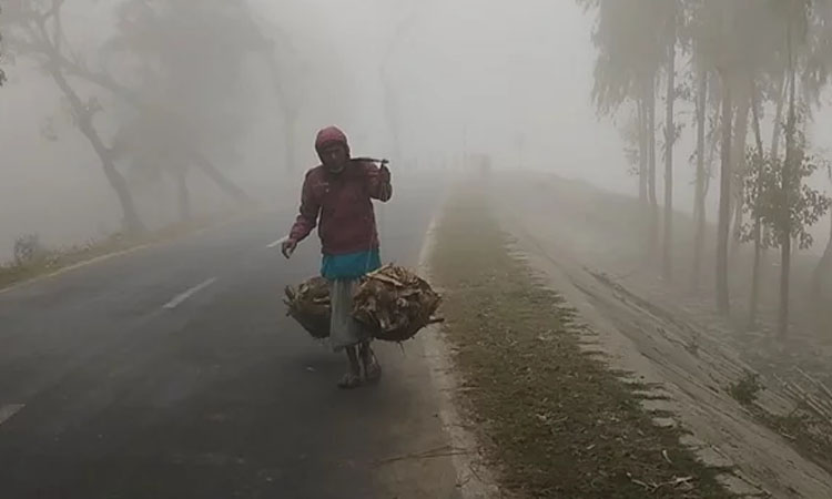 মাঘের শীতে কাঁপছে উত্তরের জনপদ, তাপমাত্রা ৯ ডিগ্রিতে