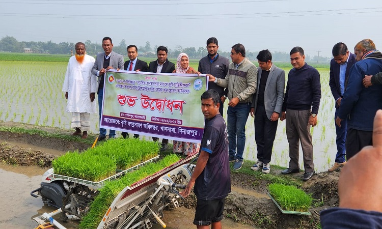খানসামায় রাইস ট্রান্সপ্লান্টারের মাধ্যমে ধানের চারা রোপণ