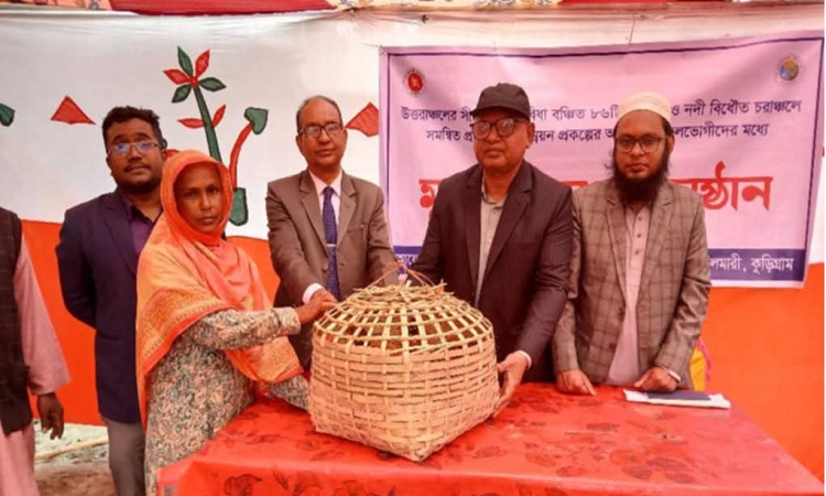 চিলমারীতে বিনামূল্যে মুরগি বিতরণ