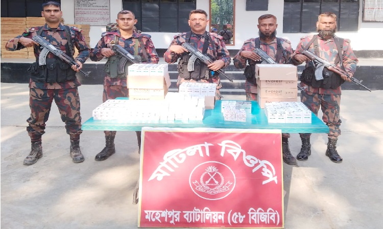 চোরাইপথে মহেশপুর সীমান্তে অর্ধকোটি মূল্যের ক্যান্সারের ওষুধ জব্দ