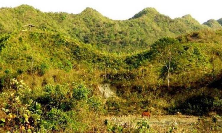 মুক্তিপণ দিয়ে ফিরলেন অপহৃত ৫ যুবক