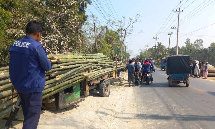 টাঙ্গাইলে সড়ক দুর্ঘটনায় শিশুর মৃত্যু