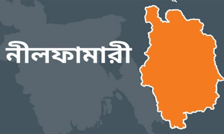 ডিমলায় গাছ থেকে পড়ে শ্রমিকের মৃত্যু