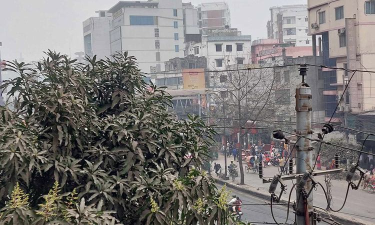 মাঘের শেষে কুয়াশার চাদরে মোড়ানো ঢাকার আকাশ