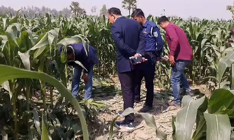 লাশ নেই, পড়ে আছে হত্যাকাণ্ডের আলামত