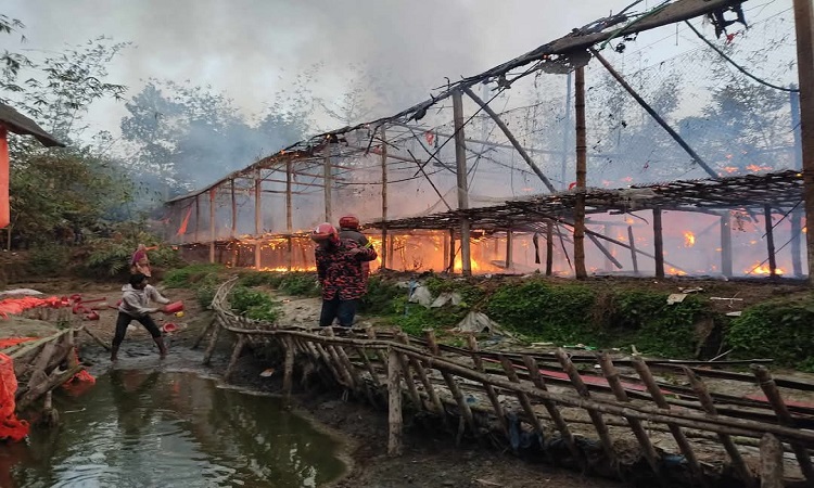 খানসামায় আগুনে পুড়ে ছাই পোল্ট্রি খামারের ৩ হাজার মুরগী