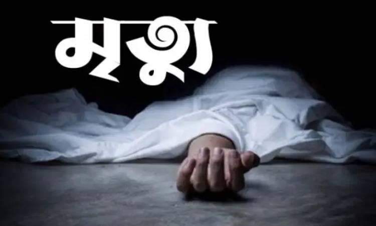 রাজবাড়ীতে মোটরসাইকেল থেকে পড়ে গৃহবধূর মৃত্যু