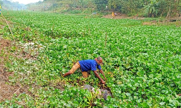 নড়াইলের নদী থেকে অজ্ঞাত ব্যক্তির মরদেহ উদ্ধার