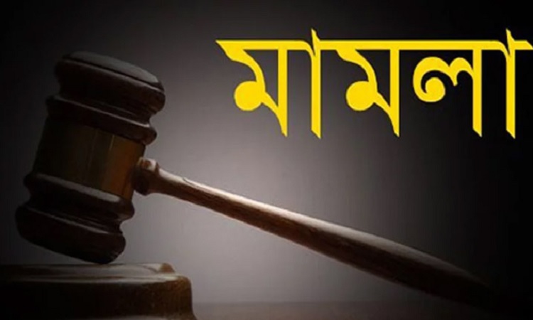 বিজয়নগরে শহীদ মিনারে ফুল দেওয়া নিয়ে সংঘর্ষের ঘটনায় মামলা