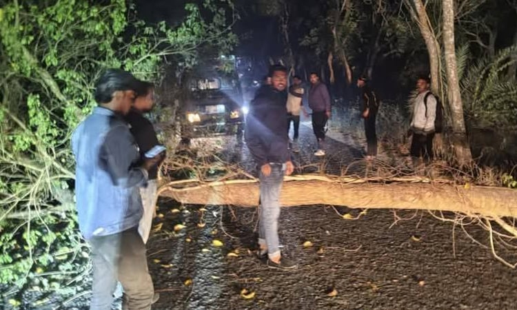 সড়কে গাছ ফেলে ডাকাতি, পুলিশের দাবি ছিনতাই