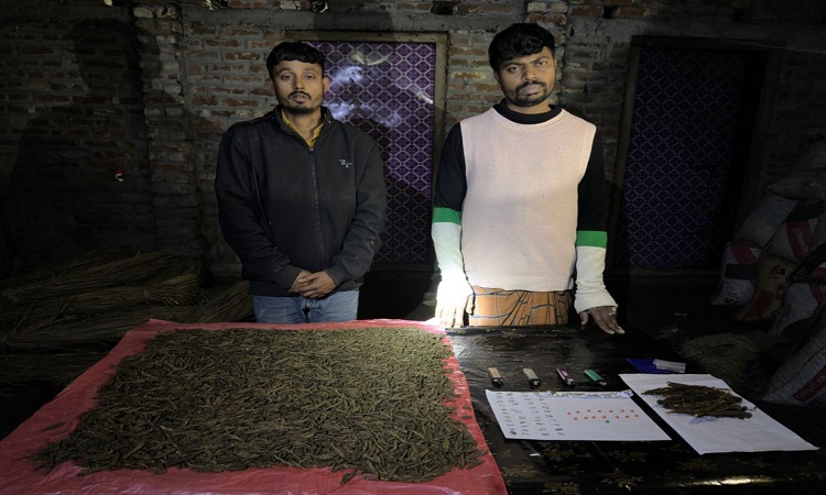 কুড়িগ্রামে গাঁজা ও ইয়াবাসহ দুই মাদক কারবারি আটক