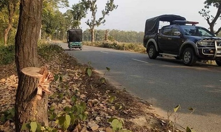 টাঙ্গাইলে শিক্ষা সফরের ৪ বাস ডাকাতের কবলে