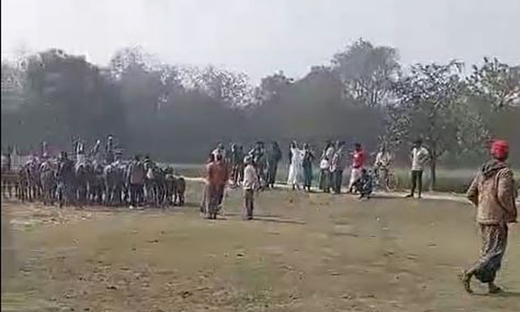 দুই দশক পর আবারও অশান্ত দৌলতপুরের চরাঞ্চল, অস্ত্রের মহড়া