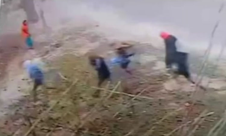 প্রকাশ্যে ব্যবসায়ীর ৭ লক্ষাধিক টাকার গরু ছিনতাই