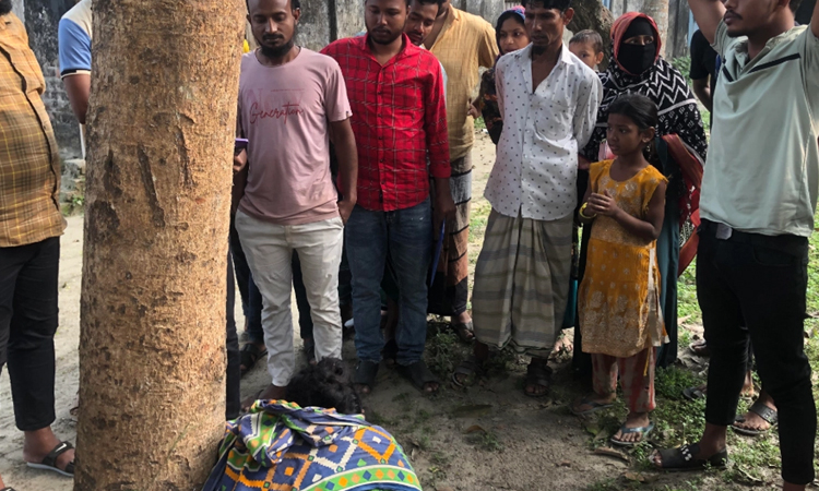 নরসিংদীতে সন্তানকে কুপিয়ে হত্যা, মা আটক