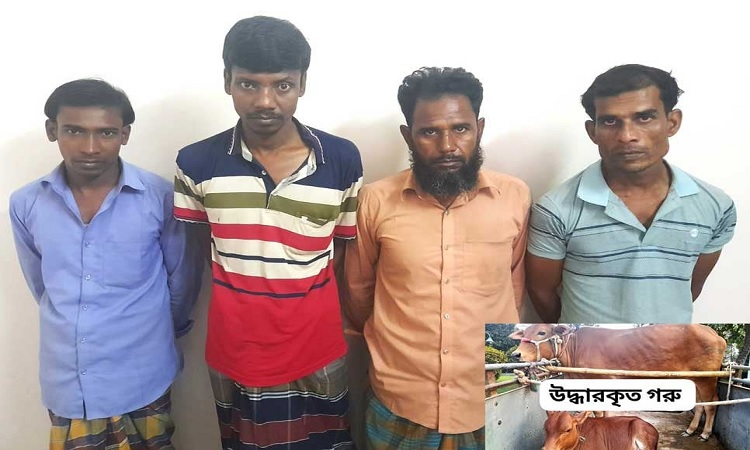 সিরাজগঞ্জে গরুসহ ৪ চোর গ্রেফতার