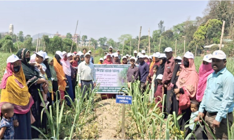 লামায় তামাকের বিকল্প ইক্ষু ও সাথী ফসল চাষের কৃষক মাঠ দিবস অনুষ্ঠিত