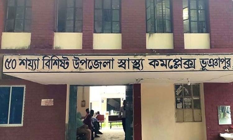 শুকুরের বাচ্চা নিয়ে মারামারি, বিএনপির দুই নেতা হাসপাতালে