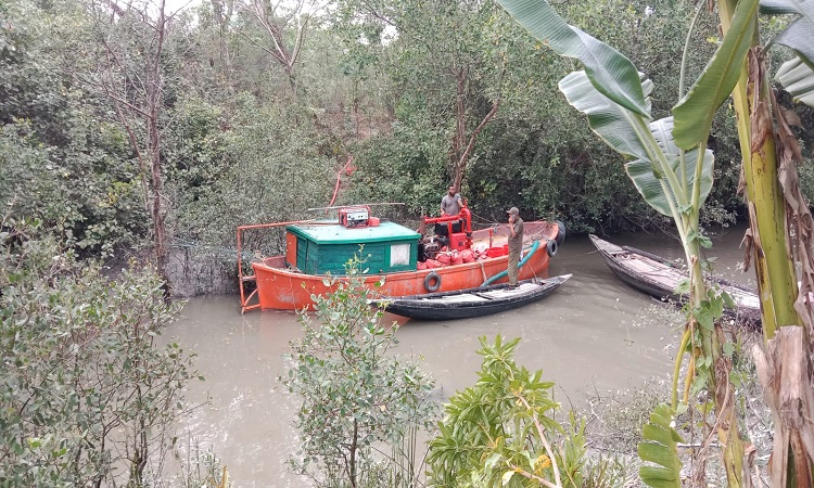 সুন্দরবনে আগুন : পৌঁছালেও কাজ শুরু করতে পারেনি ফায়ার সার্ভিস