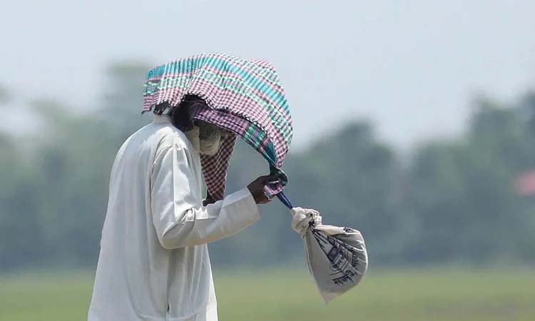 উত্তরাঞ্চলে কমতে পারে দিন ও রাতের তাপমাত্রা