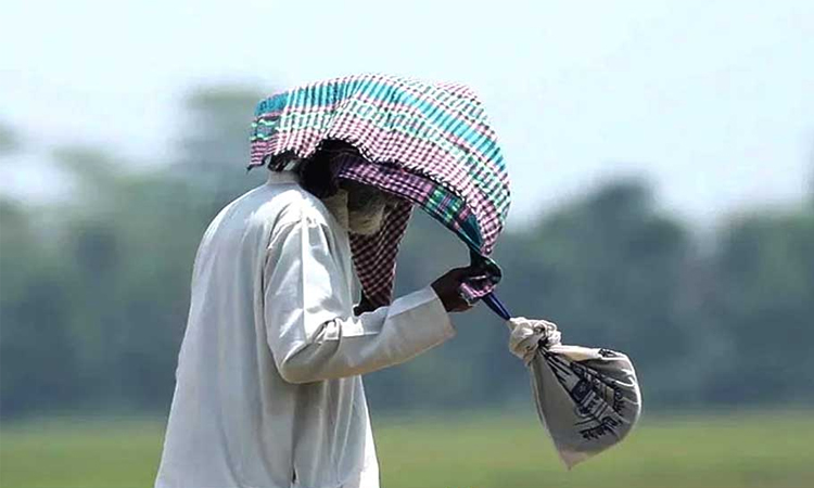 ১০ জেলায় বইছে মৃদু তাপপ্রবাহ