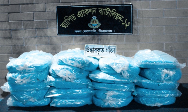 সলঙ্গায় ১ মণ গাঁজাসহ দুই মাদক কারবারি গ্রেফতার