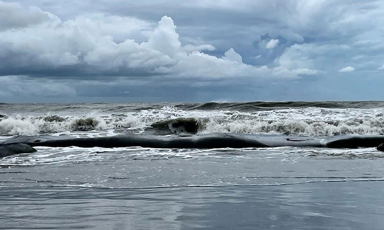 বঙ্গোপসাগরে লঘুচাপ, নিম্নচাপে পরিণত হওয়ার আভাস