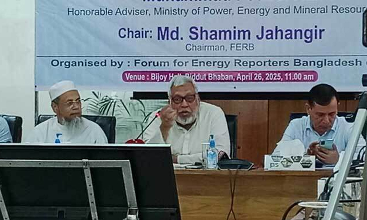 গরমে গ্রাম-শহরে লোডশেডিং সমন্বয় হবে: জ্বালানি উপদেষ্টা