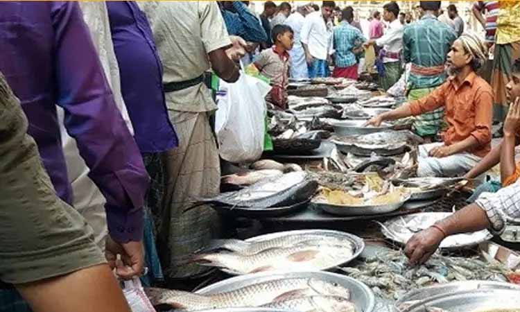 মাছের রক্ত ও পানি কি নাপাক?