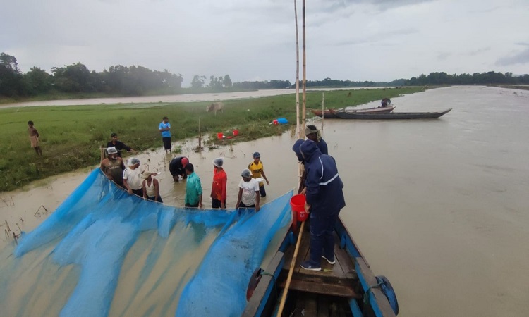 কাপ্তাই লেকে কার্পজাতীয় মাছের নতুন প্রজননক্ষেত্র চিহ্নিত