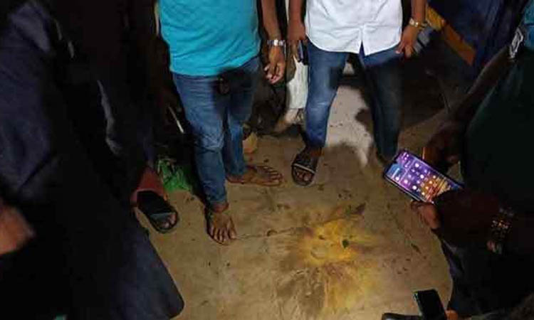 যাত্রাবাড়ী পার্কে ককটেল বিস্ফোরণ, আহত ৪