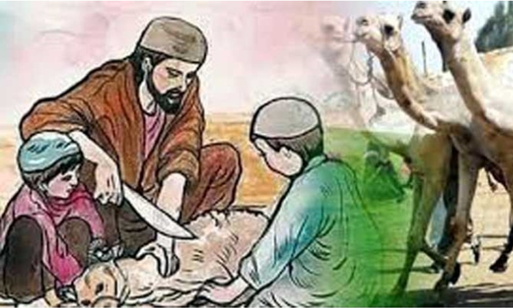 হালাল পশুর যেসব অংশ খাওয়া নিষিদ্ধ