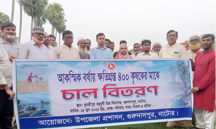 গুরুদাসপুরে ক্ষতিগ্রস্ত ৩০ কেজি করে চাল পেলেন চারশ কৃষক
