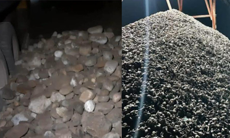 ভোলাগঞ্জের লুট হওয়া সাদা পাথর ডেমরায় জব্দ