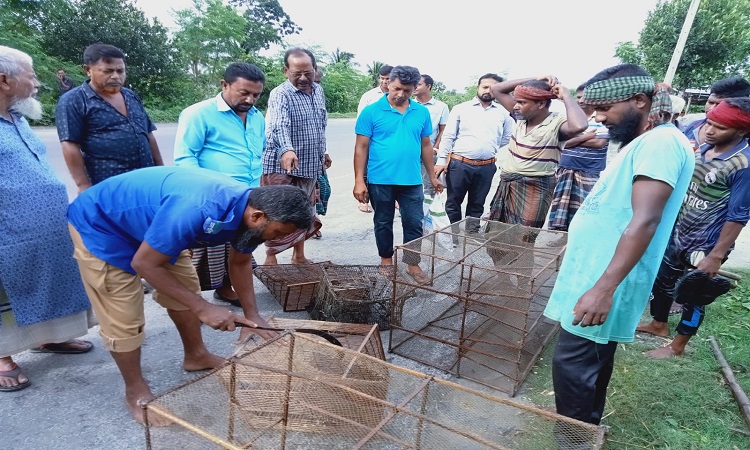তালায় খাল দখল ও নিষিদ্ধ জালের বিরুদ্ধে প্রশাসনের অভিযান