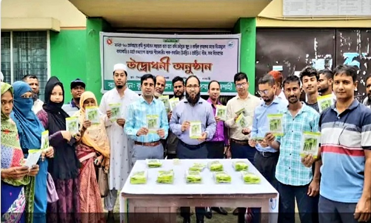 শীতকালীন সবজি চাষে প্রণোদনা পেল ১১৭০ জন কৃষক