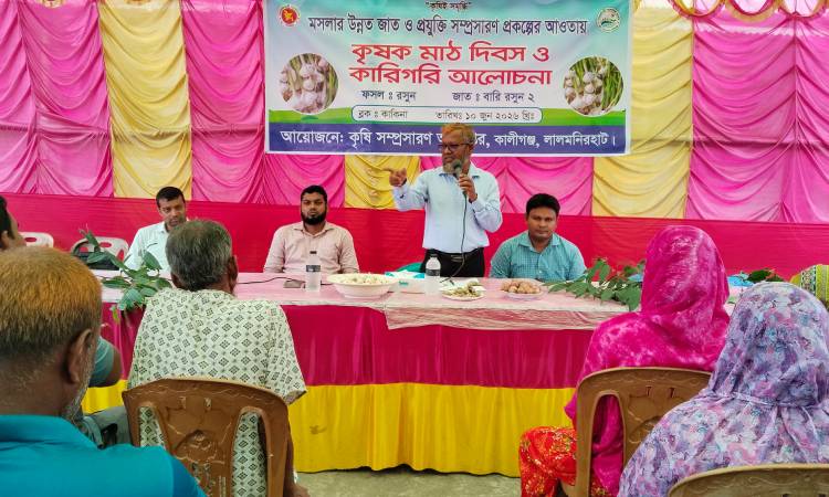 কালীগঞ্জে মসলার উন্নত জাত ও প্রযুক্তি সম্প্রাসারণে কৃষক মাঠ দিবস অনুষ্ঠিত