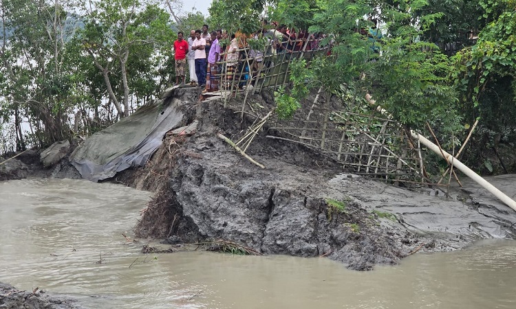 খুলনার উপকূলীয় এলাকা দাকোপ উপজেলার তিলডাঙ্গা বটবুনিয়ায় পানি উন্নয়ন বোর্ডের (পাউবো) প্রায় ১৫০ ফুট ওয়াপদা বেড়িবাঁধ ভেঙে ঢাকি নদীতে বিলীন হয়ে গেছে। বেড়িবাঁধ ভেঙে যাওয়ায় নদীর পানিতে বিস্তীর্ণ এলাকা প্লাবিত হয়েছে। পানিতে তলিয়ে রয়েছে প্রায় কয়েক হাজার হেক্টর রোপা আমন ধানের খেত। ভেসে গেছে কয়েক লাখ টাকার পুকুরের মাছ। পানিবন্দী হয়ে পড়েছে প্রায় ১ হাজার পরিবার। ছবিটি বুধবার তোলা।