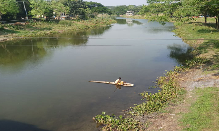 নবরূপে ঝিনাইদহের নবগঙ্গা নদী!