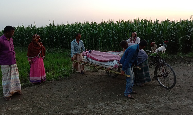 ভুট্টা ক্ষেত থেকে গলায় ওড়না পেঁচানো গৃহবধূর লাশ উদ্ধার