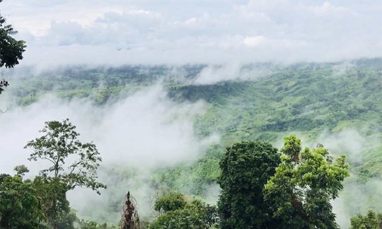 নজর কেড়েছে সবুজ পাহাড়ে সাদা মেঘের ভেলা