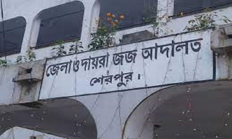 ধর্ষণ মামলায় যুবকের ৪৪ বছর কারাদণ্ড