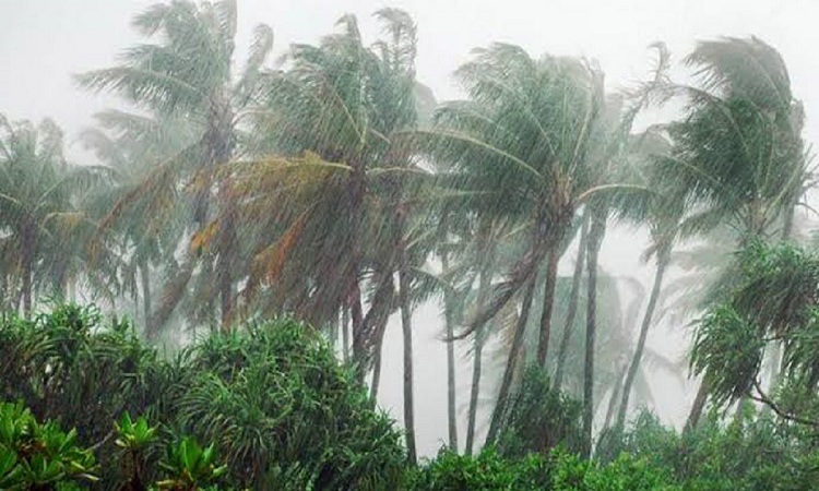 ৩ বিভাগে দমকা হাওয়াসহ বৃষ্টির আভাস