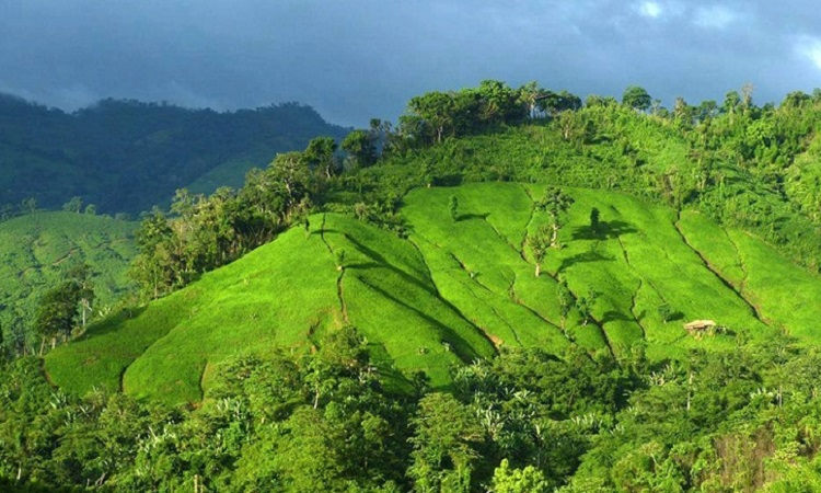 দেশের সর্বোচ্চ বিন্দু ‘সাকা হাফং’