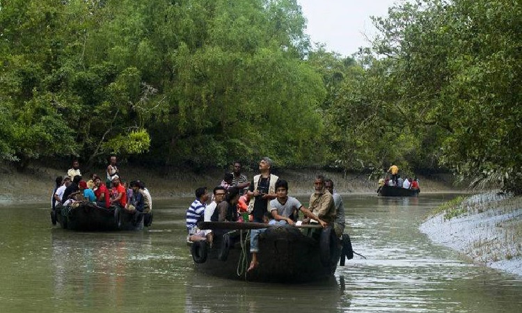 সুন্দরবন ভ্রমণে পর্যটকদের উপচেপড়া ভিড়, বাড়ছে বিদেশি পর্যটকও