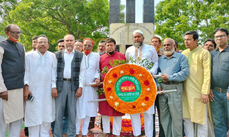 দৌলতপুরে স্বাধীনতা দিবস পালিত