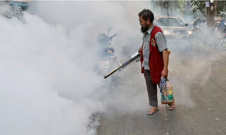 মশা নিধনে আজ থেকে ডিএনসিসির বিশেষ অভিযান